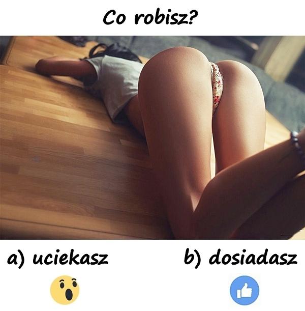 Co robisz? a)uciekasz b)dosiadasz