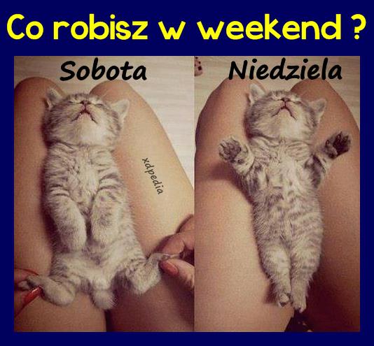 Co robisz w weekend