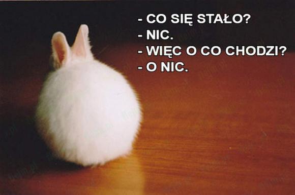 Co się stało? Nic. Więc o co chodzi? O nic