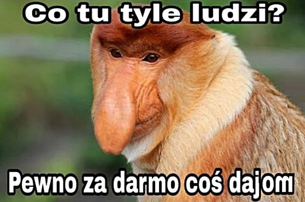 Co tu tyle ludzi? Pewno za darmo coś dajom