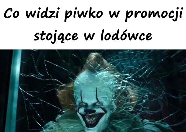 Co widzi piwko w promocji stojące w lodówce