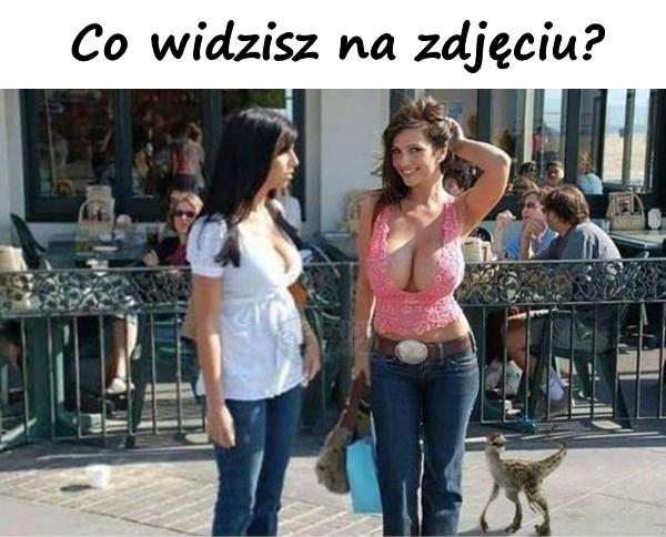 Co widzisz na zdjęciu