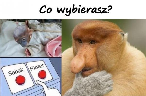 Co wybierasz