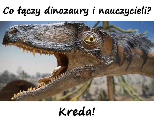 Co łączy dinozaury i nauczycieli? Kreda