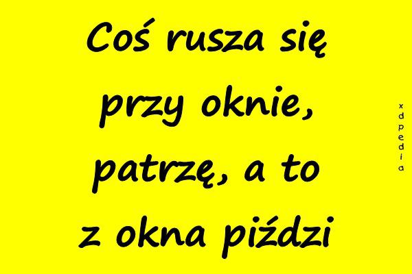 Coś rusza się przy oknie, patrzę, a to z okna piździ