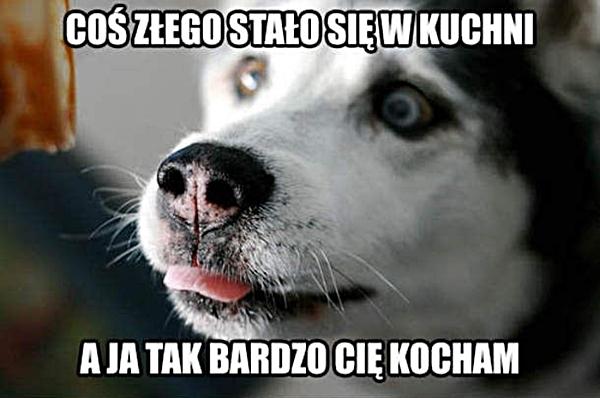 Coś złego stało się w kuchni, a ja tak bardzo Cię kocham