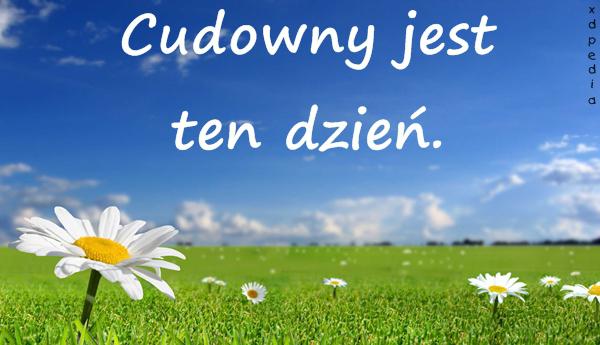 Cudowny jest ten dzień