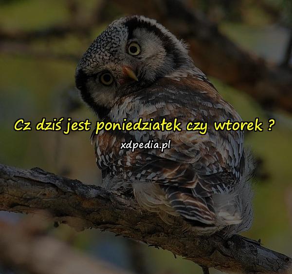 Cz dziś jest poniedziałek czy wtorek