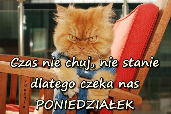 Czas nie chuj, nie stanie dlatego czeka nas PONIEDZIAŁEK