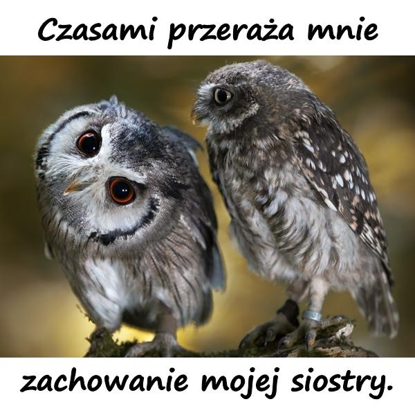 Czasami przeraża mnie zachowanie mojej siostry