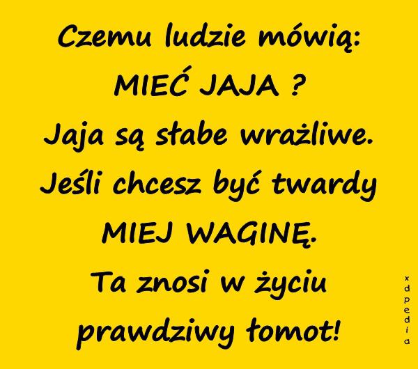 Czemu ludzie mówią: MIEĆ JAJA ? Jaja są słabe wrażliwe