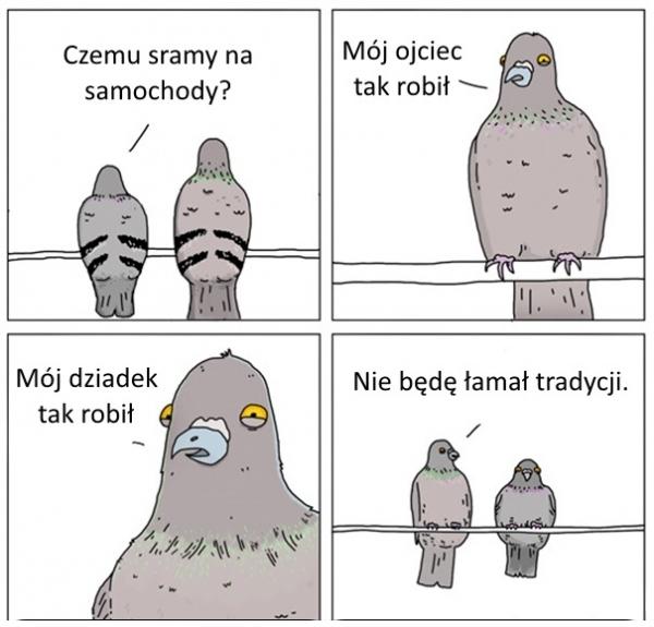 - Czemu sramy na samochody? - Mój ojciec tak robił - Mój