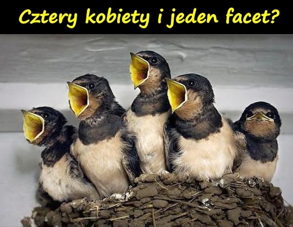 Cztery kobiety i jeden facet