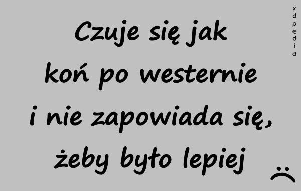 Czuje się jak koń po westernie i nie zapowiada się, żeby