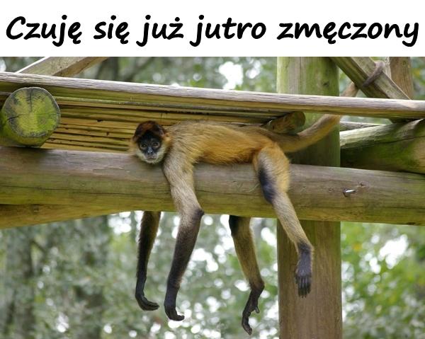 Czuję się już jutro zmęczony