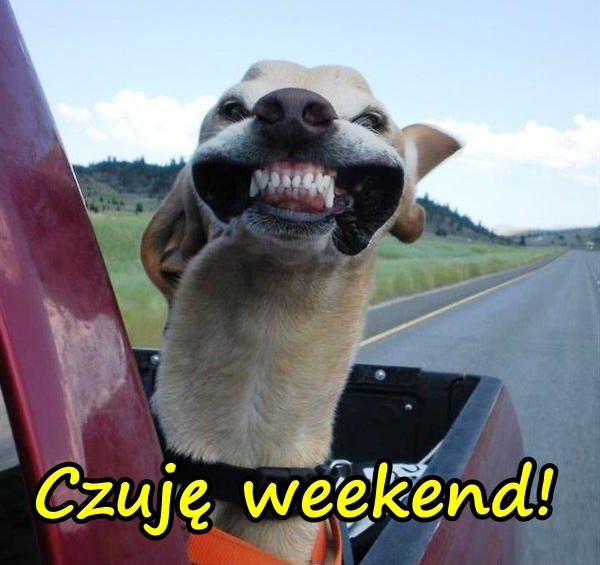 Czuję weekend