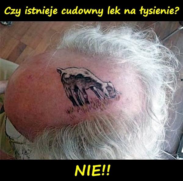 Czy istnieje cudowny lek na łysienie? NIE