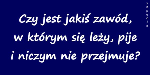 Czy jest jakiś zawód, w którym się leży, pije i niczym nie