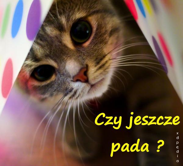 Czy jeszcze pada