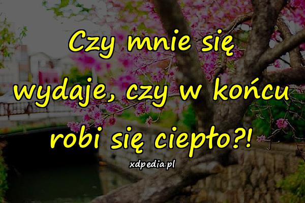 Czy mnie się wydaje, czy w końcu robi się ciepło