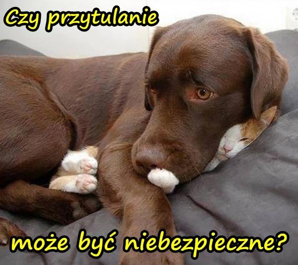 Czy przytulanie może być niebezpieczne