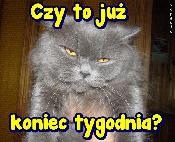 Czy to już koniec tygodnia