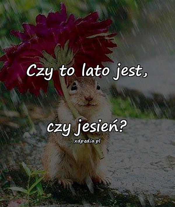 Czy to lato jest, czy jesień