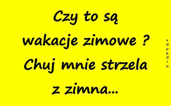 Czy to są wakacje zimowe? Chuj mnie strzela z zimna