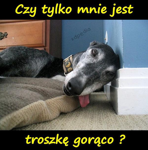 Czy tylko mnie jest troszkę gorąco