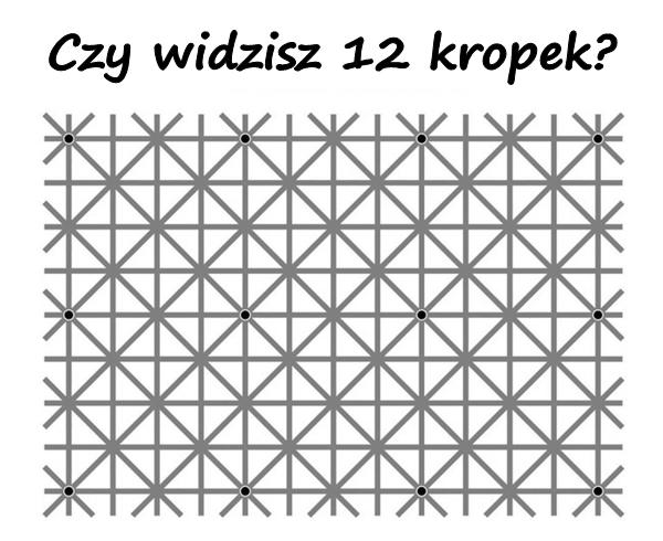 Czy widzisz 12 kropek