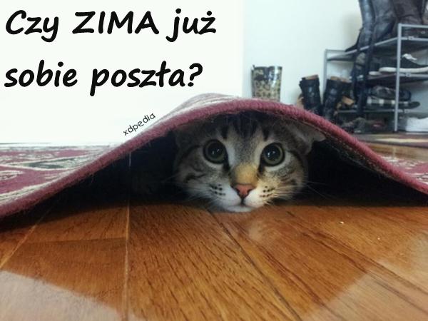 Czy ZIMA już sobie poszła