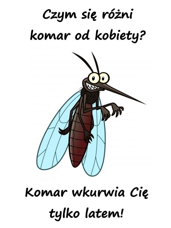 Czym się różni komar od kobiety? Komar wkurrwia Cię tylko