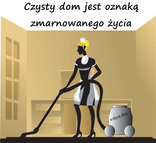 Czysty dom jest oznaką zmarnowanego życia