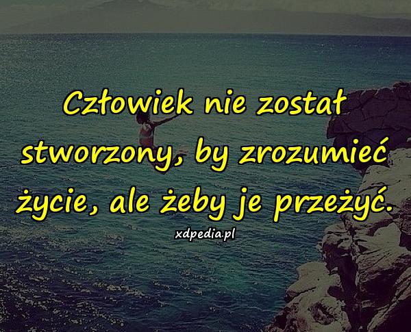 Człowiek nie został stworzony, by zrozumieć życie, ale żeby