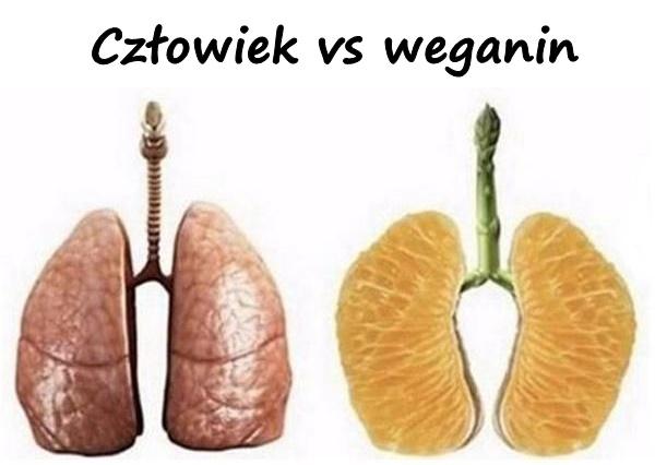 Człowiek vs weganin