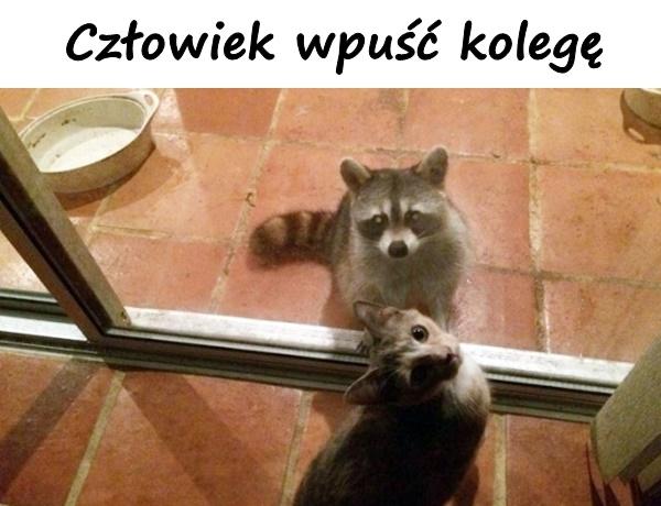 Człowiek wpuść kolegę