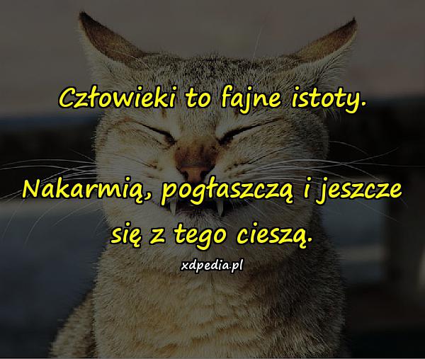 Człowieki to fajne istoty. Nakarmią, pogłaszczą i jeszcze