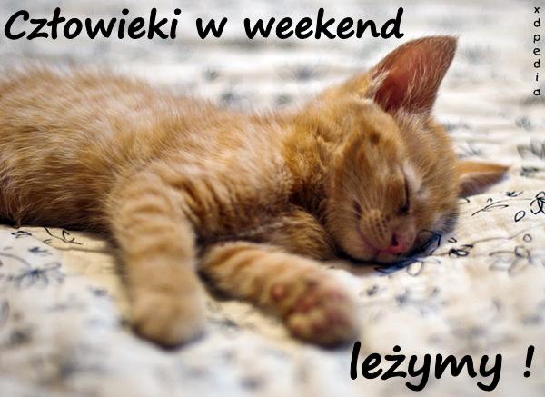 Człowieki w weekend leżymy