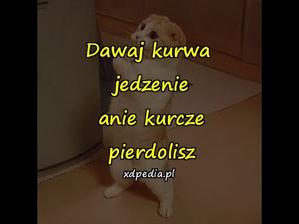 Dawaj kurwa\n jedzenie\n anie kurcze\n pierdolisz