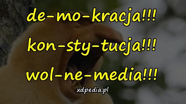 De-mo-kracja!!! kon-sty-tucja!!! wol-ne-media