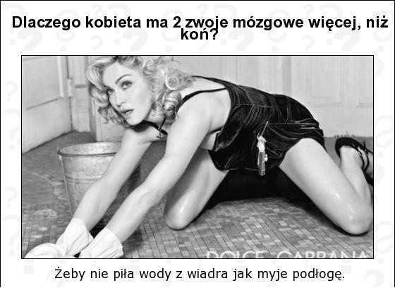 Dlaczego kobieta ma dwa zwoje mózgowe więcej niż koń? Żeby