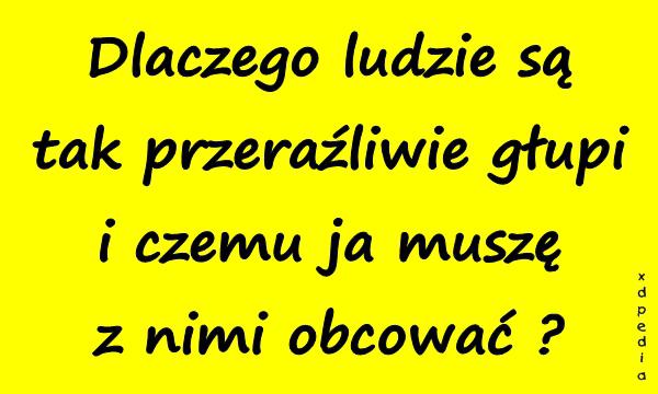Dlaczego ludzie są tak przeraźliwie głupi i czemu ja muszę