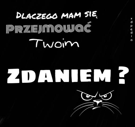 Dlaczego mam się przejmować Twoim zdaniem