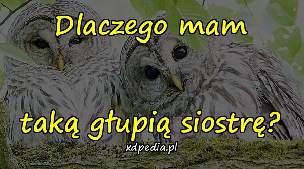 Dlaczego mam taką głupią siostrę