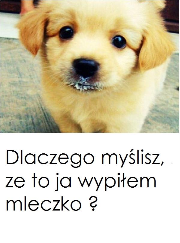 Dlaczego myślisz, że to ja wypiłem mleczko