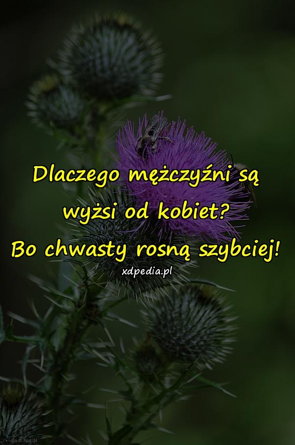 Dlaczego mężczyźni są wyżsi od kobiet? Bo chwasty rosną