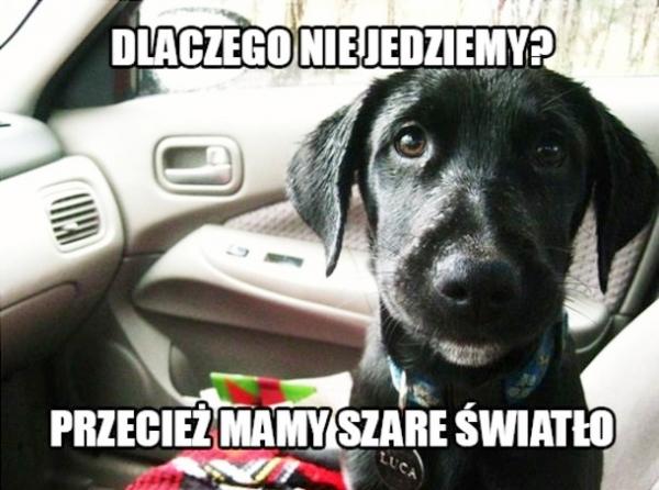 Dlaczego nie jedziemy, przecież mamy szare światło