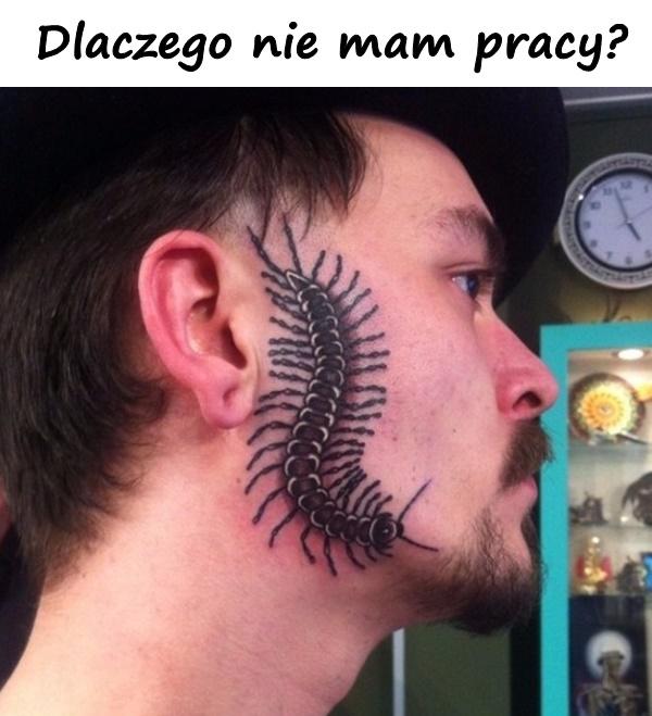 Dlaczego nie mam pracy