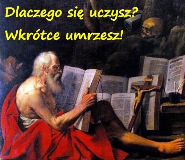 Dlaczego się uczysz? Wkrótce umrzesz