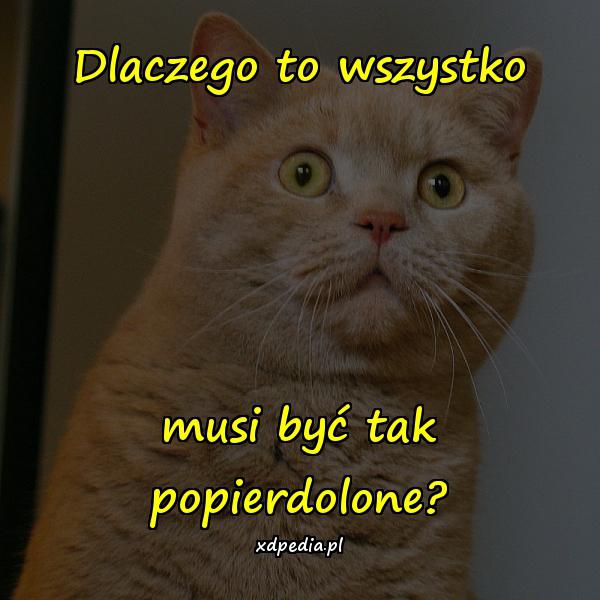 Dlaczego to wszystko musi być tak popierdolone